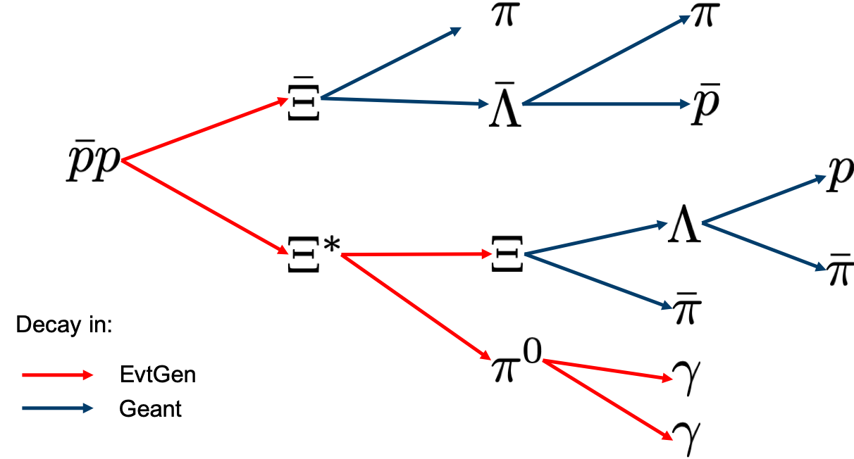 Decay chain of cascade anti-cascade*