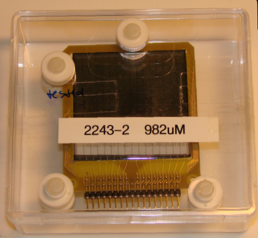 Det No 2243-2-982uM