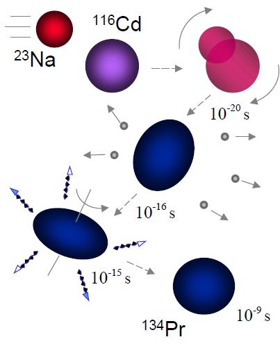 nuclear reactions