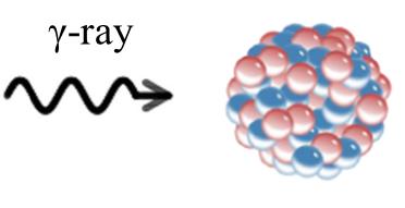 Photo Nuclear Reaction
