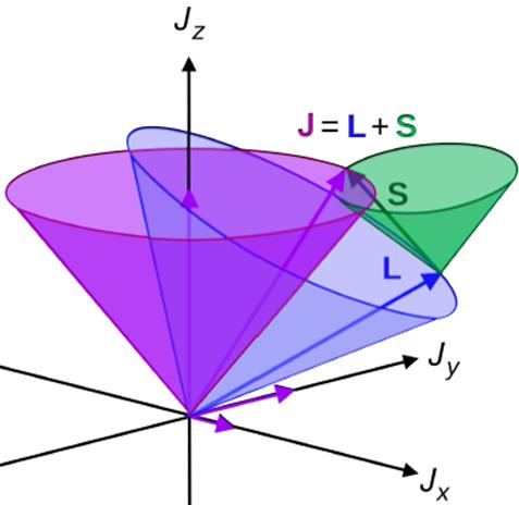 nuclear angular momentum