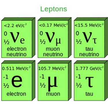 leptons